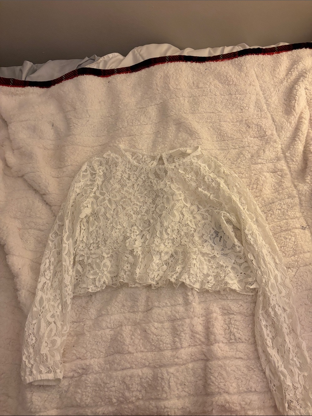 White Lace Long-Sleeve Cropped Top